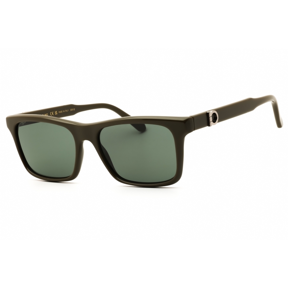 Salvatore Ferragamo SF2060SE Sunglasses 324 Brown injected propionate Rectangle